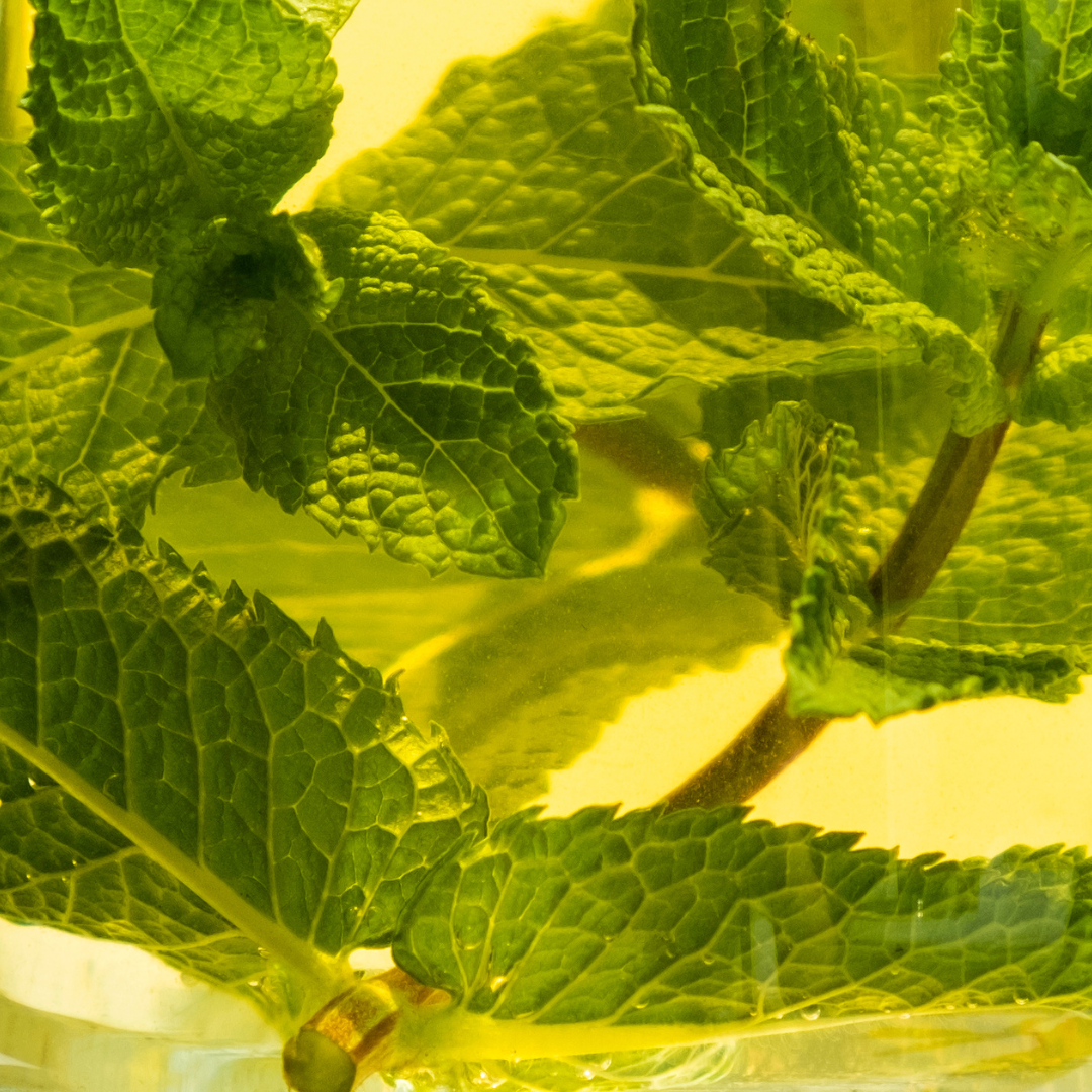 Tè freddo alla menta